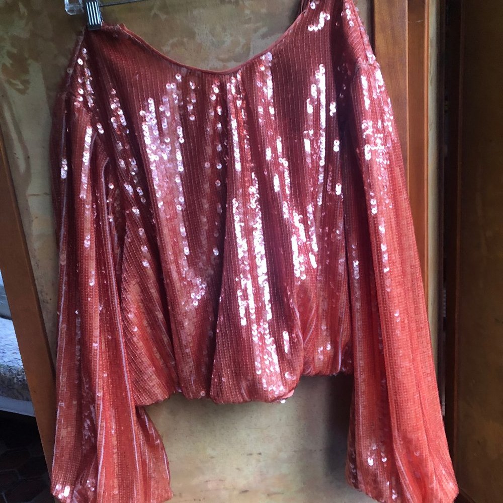 J Crew Sequined Top
